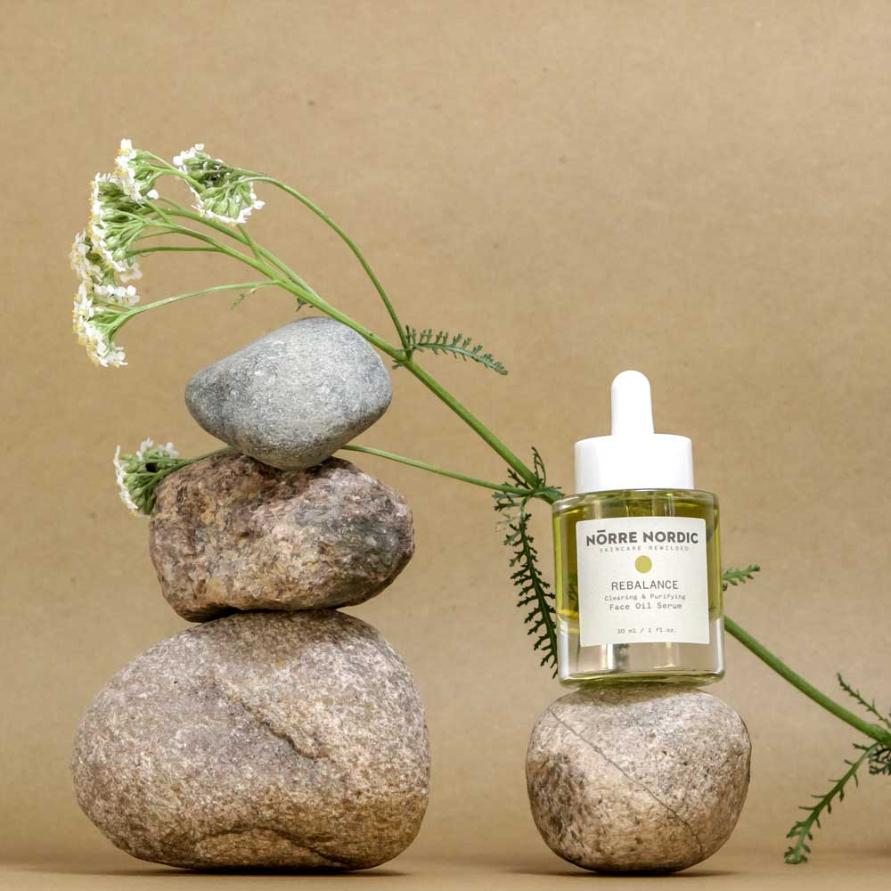 Textured still life of natural skincare ingredients